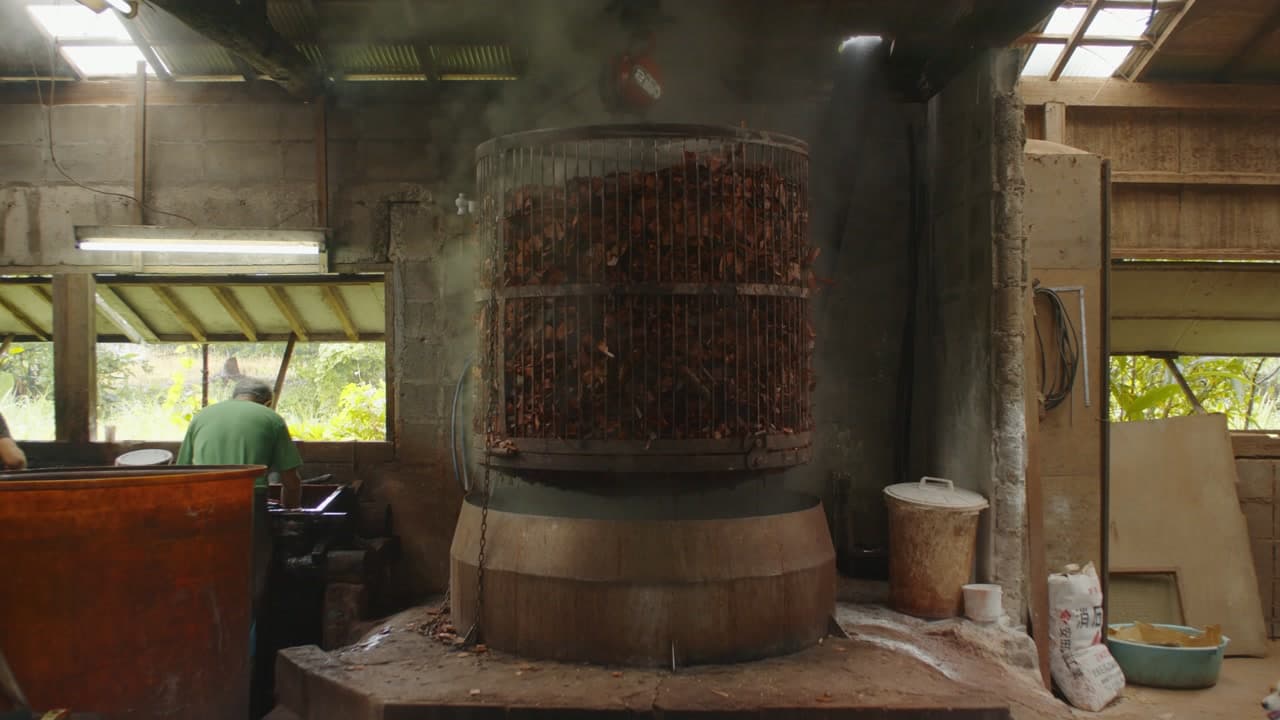 藍職人 — 秋 still 2