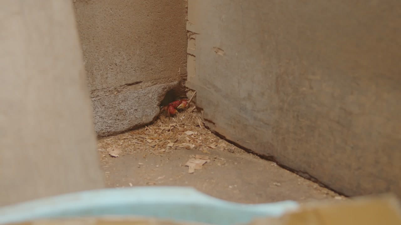 藍職人 — 秋 still 6