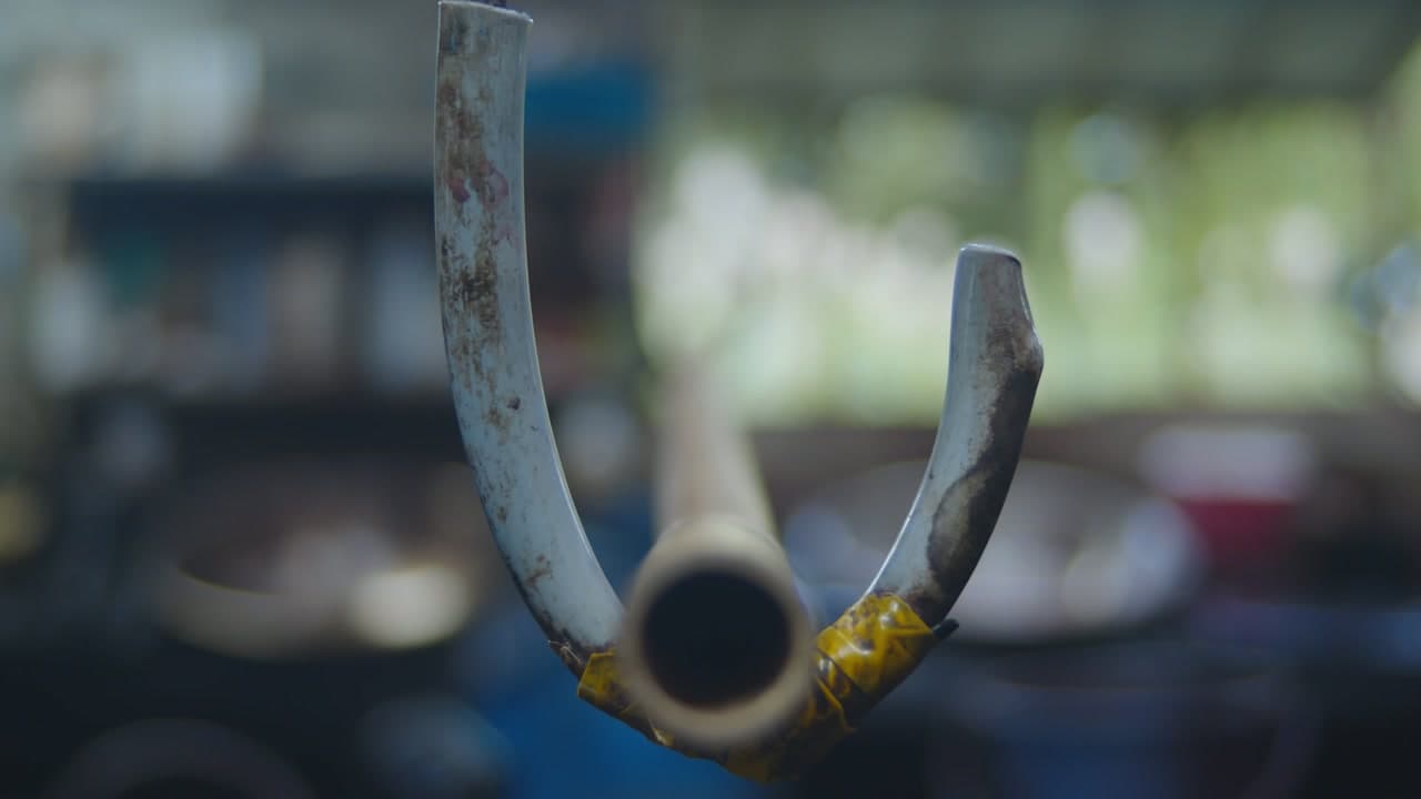 藍職人 — 秋 still 10