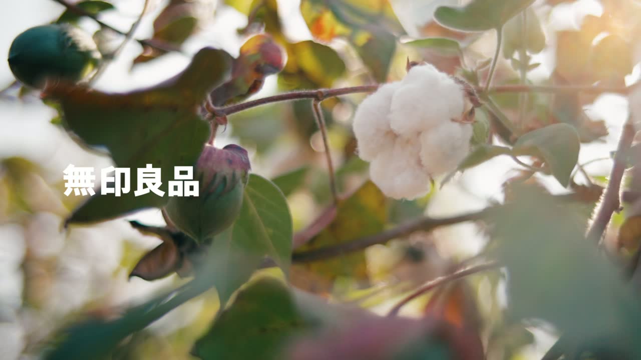 あったか綿インナー still 2