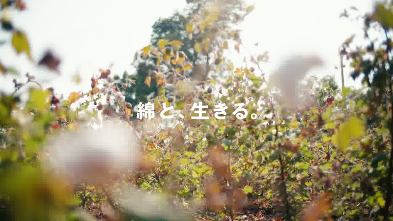 あったか綿インナー still 5